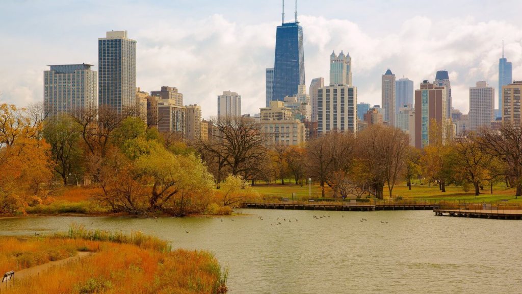 The State of Illinois – CBMR